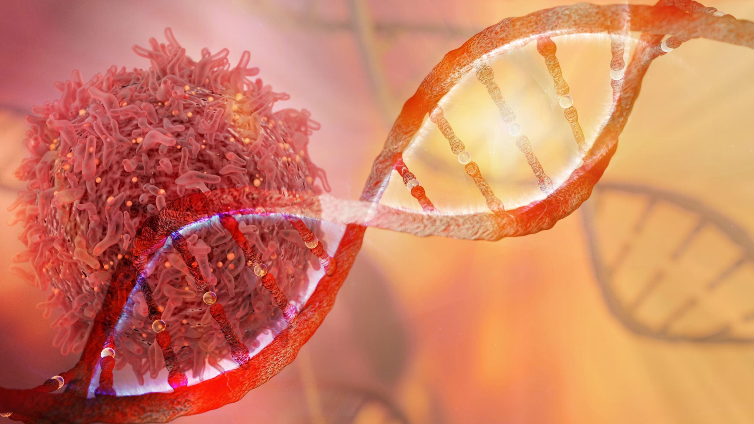CANCER DIAGNOSTICS HUB