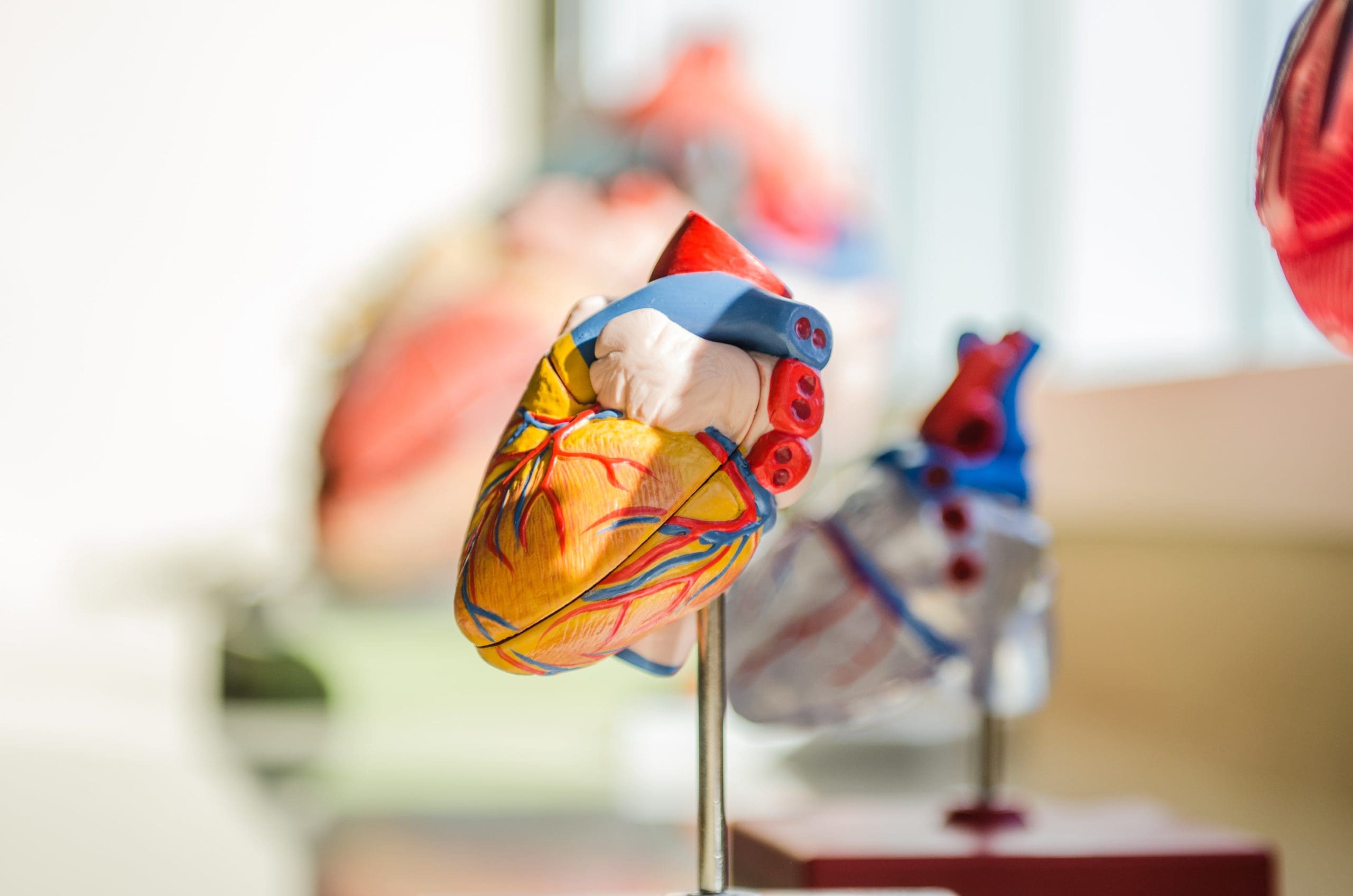 Cardiac biomarker testing market outlook in Latin America